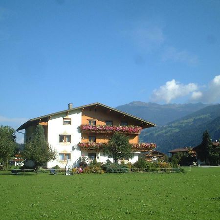 Lippnerhof Apartment Aschau Im Zillertal Ngoại thất bức ảnh