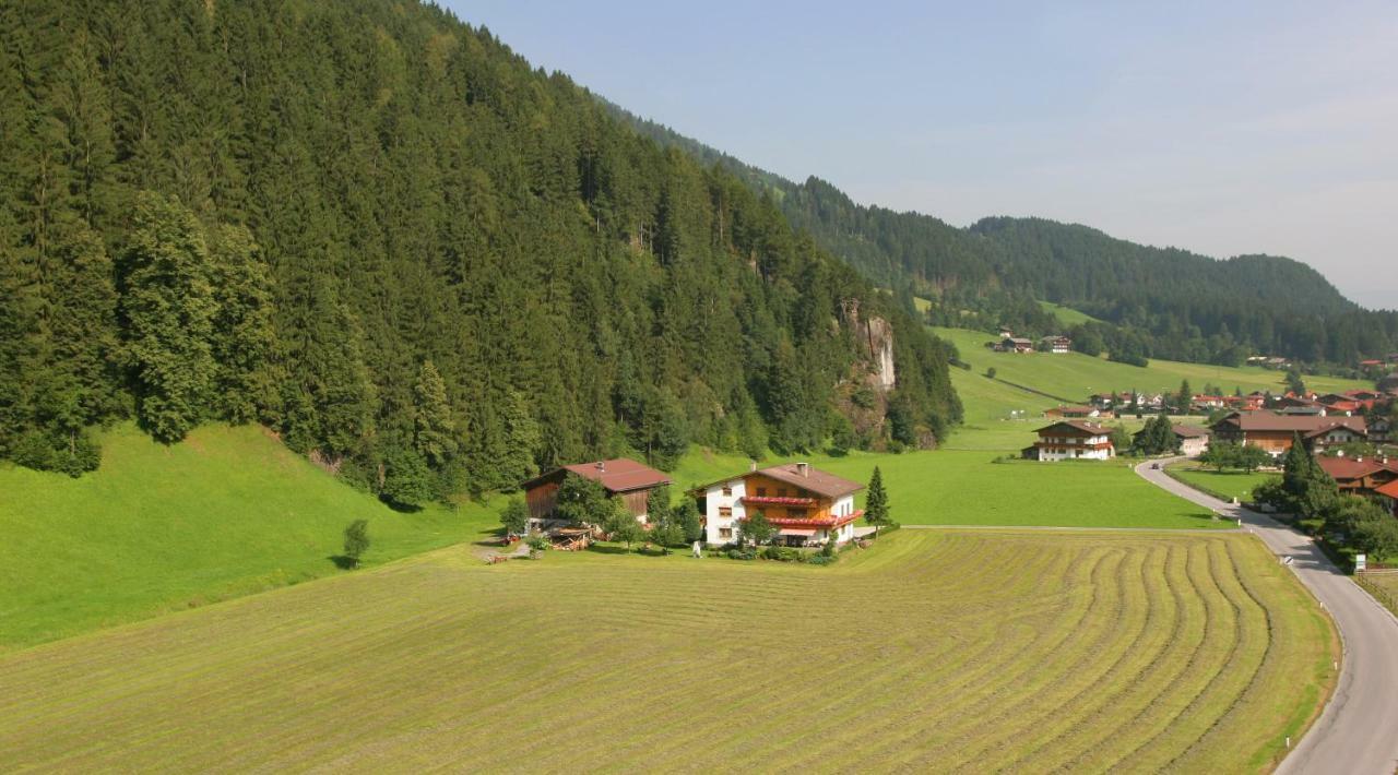Lippnerhof Apartment Aschau Im Zillertal Ngoại thất bức ảnh