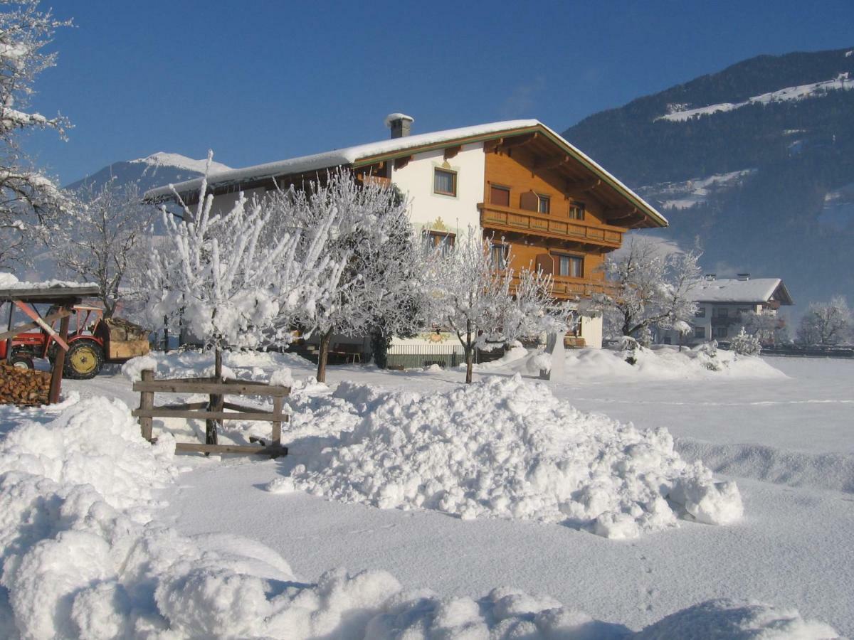 Lippnerhof Apartment Aschau Im Zillertal Ngoại thất bức ảnh