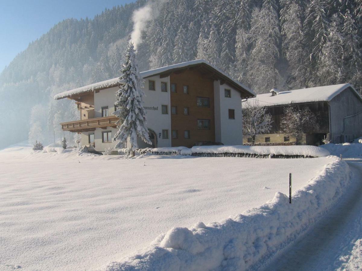 Lippnerhof Apartment Aschau Im Zillertal Ngoại thất bức ảnh